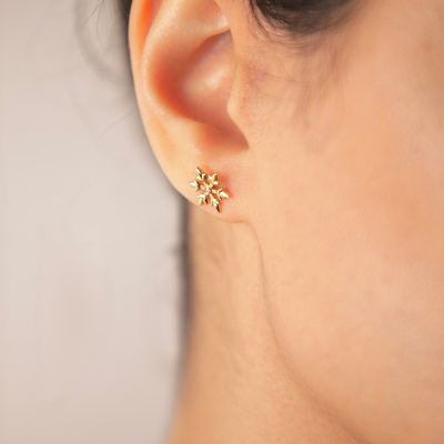 گوشواره برف - Snow earrings